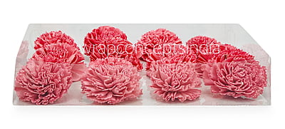 Peachy Pink Sola Wood Carnation Peachy Pink Sola Wood Carnation