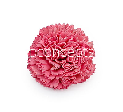 Peachy Pink Sola Wood Carnation Peachy Pink Sola Wood Carnation