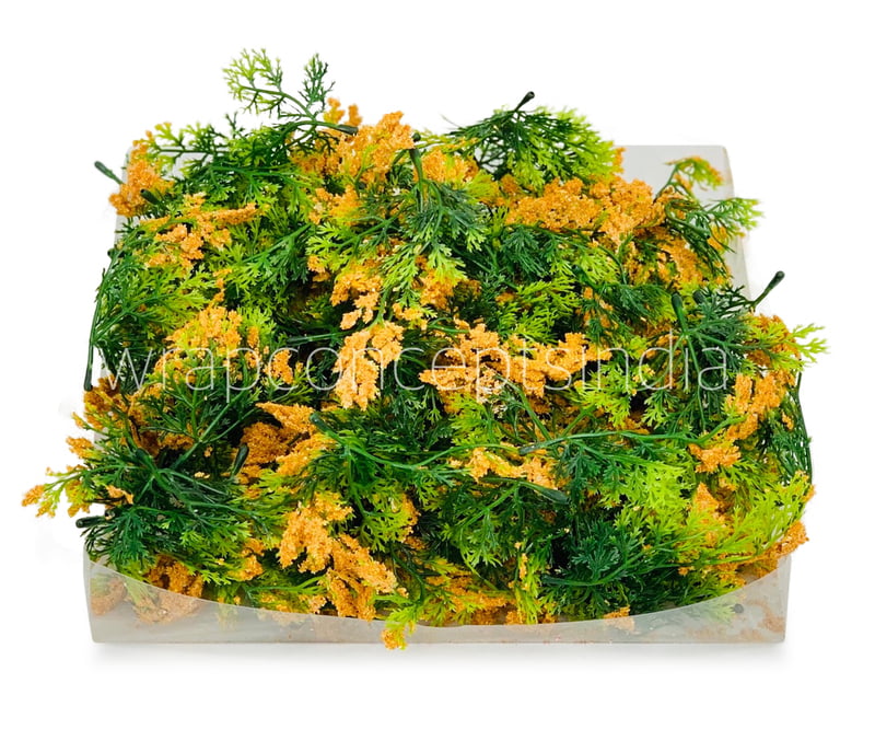 Green Fern Leaves with Papaya Edges Green Fern Leaves with Papaya Edges