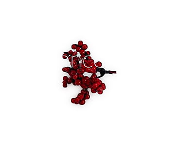 Red Fern