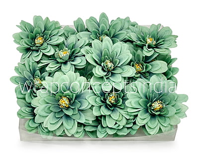 Sea Foam Dahlias