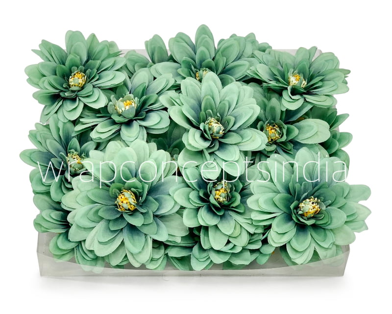 Sea Foam Dahlias Sea Foam Dahlias