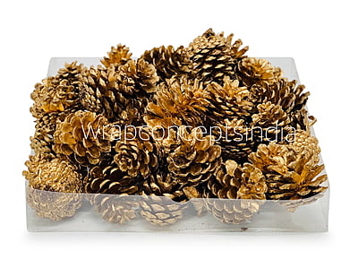Gold Pine Cone
