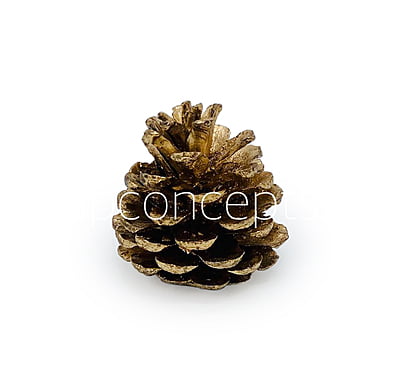 Gold Pine Cone