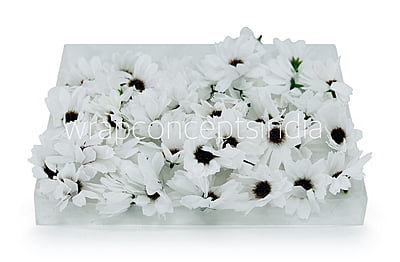 Sun Flowers - white