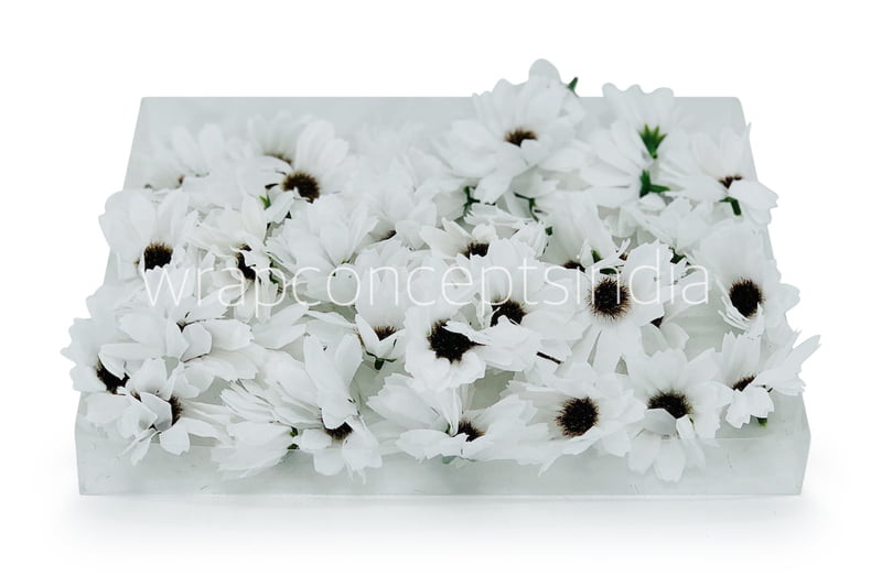 Sun Flowers - white