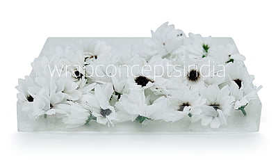 Sun Flowers - white