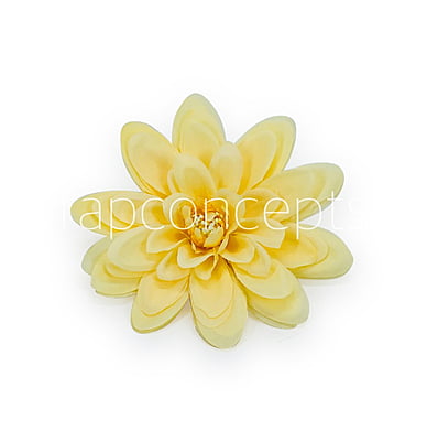 Corn Dahlias
