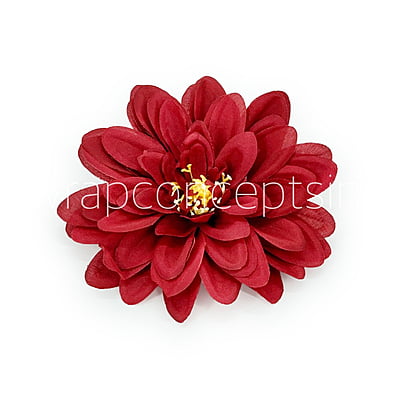 Cherry Red Dahlias Cherry Red Dahlias