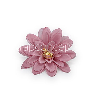 Rose Quartz Dahlias Rose Quartz Dahlias