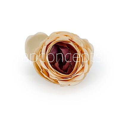 Apricot with hints of Burgundy Peony Apricot with hints of Burgundy Peony
