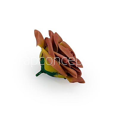 Caramel Diamond Rose Caramel Diamond Rose