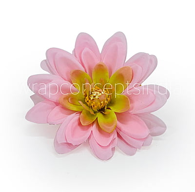 Candy Pink Shaded Dahlias Candy Pink Shaded Dahlias