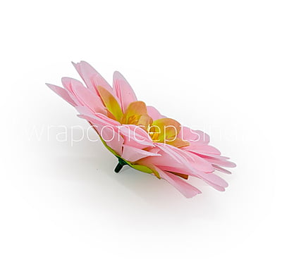 Candy Pink Shaded Dahlias Candy Pink Shaded Dahlias