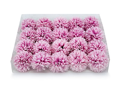 Carnation - Lilac
