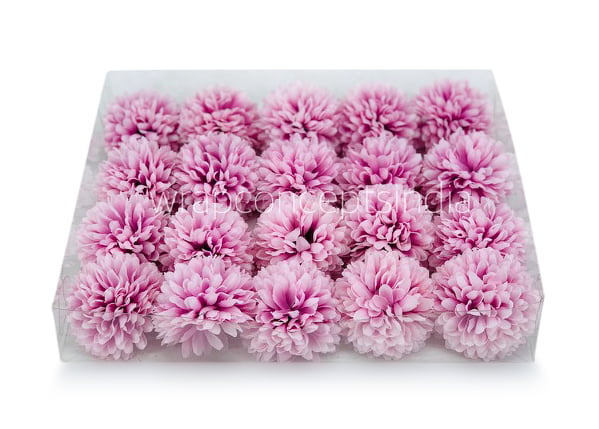 Carnation - Lilac