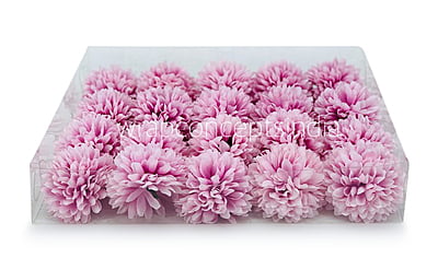 Carnation - Lilac