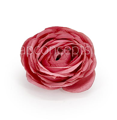 Pomegranate Peony Pomegranate Peony