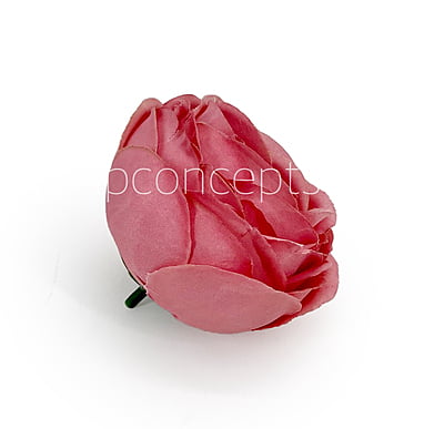 Pomegranate Peony Pomegranate Peony