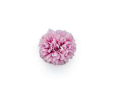 Carnation - Lilac