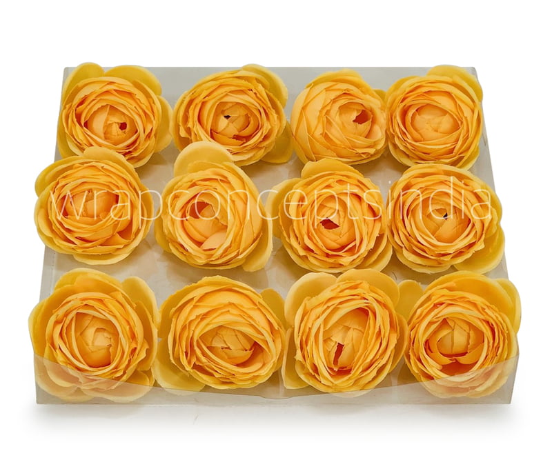 Sunrise Peony Sunrise Peony