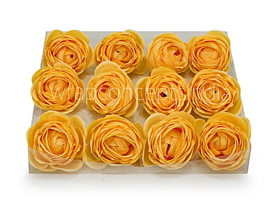 Sunrise Peony Sunrise Peony