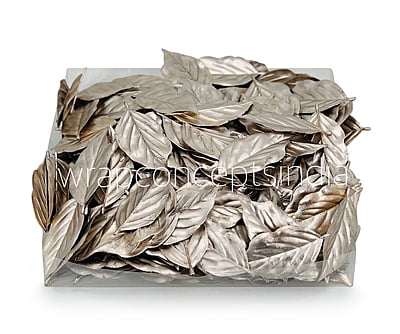 Champagne Honeysuckle Leaves