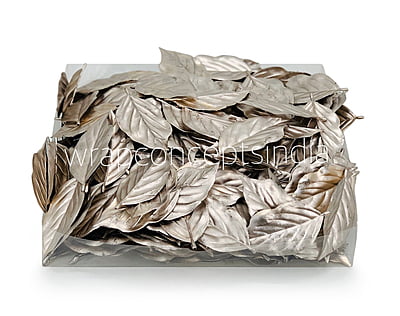 Champagne Honeysuckle Leaves