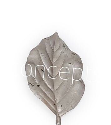 Champagne Honeysuckle Leaves