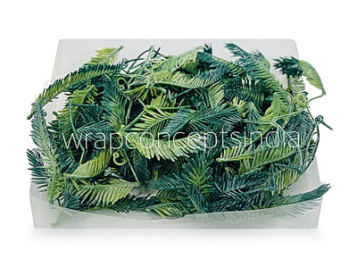 Long Palm Leaves