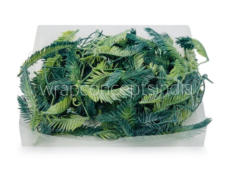 Long Palm Leaves