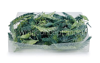 Long Palm Leaves