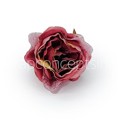 Peony - Strawberry with net layering Peony - Strawberry with net layering