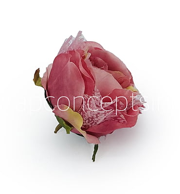 Peony - Strawberry with net layering Peony - Strawberry with net layering