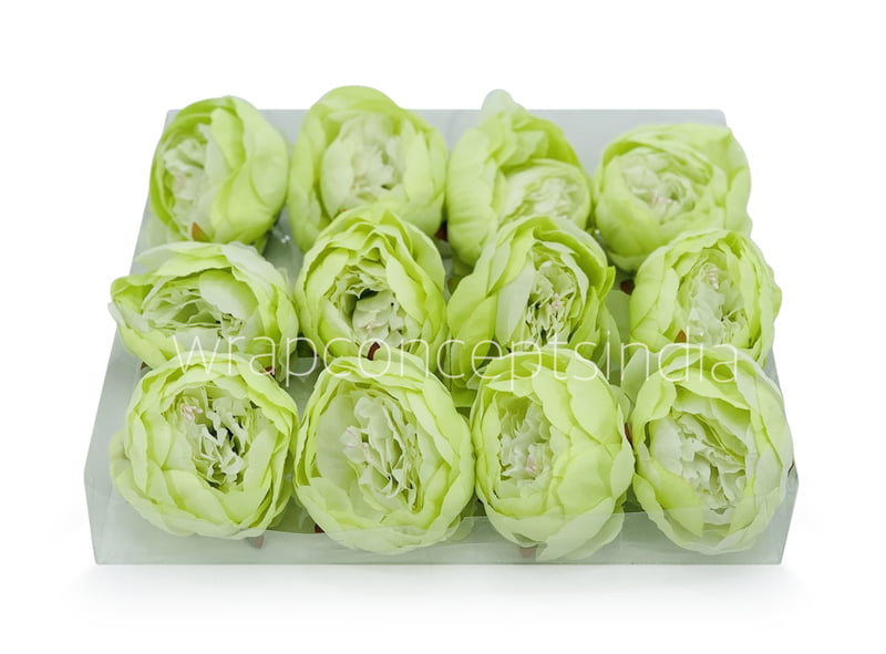 Peony - Lime Green Peony - Lime Green