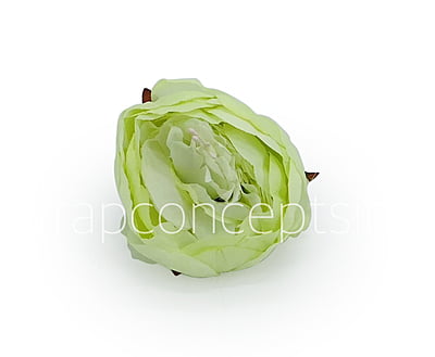 Peony - Lime Green Peony - Lime Green