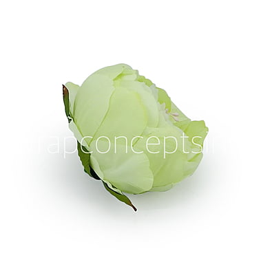 Peony - Lime Green Peony - Lime Green