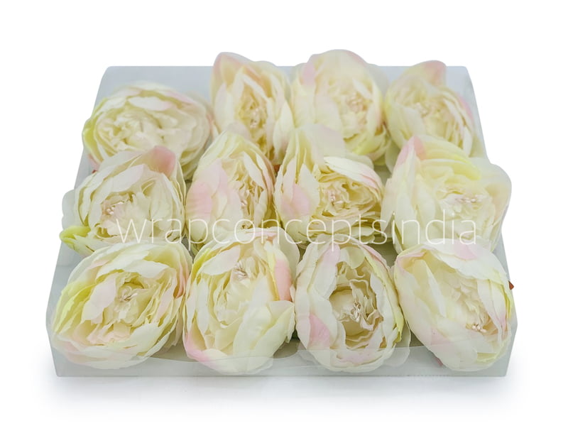 Peony - Ivory with hints of pink Peony - Ivory with hints of pink