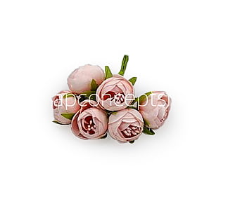 Peonies on stick-Baby Pink Peonies on stick-Baby Pink