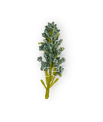 SeaGreen Sugar Pine Leaves SeaGreen Sugar Pine Leaves