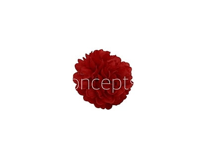 Small Carnation - Red