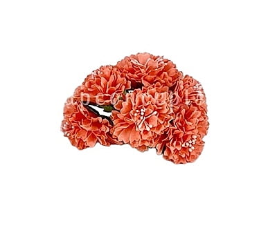 Carnations on Stick - Peach