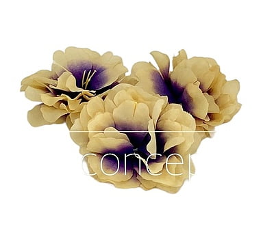 Big Petunia Flower - Beige with Purple Big Petunia Flower - Beige with Purple