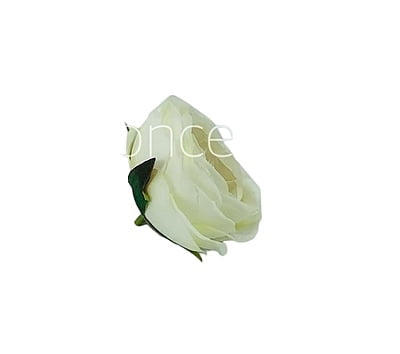 Camellia Flower - White with Maroon Centre