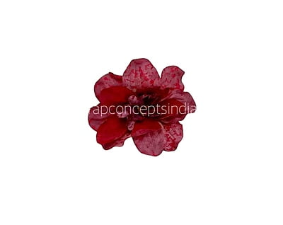 Cherry Red Textured Petunias Cherry Red Textured Petunias