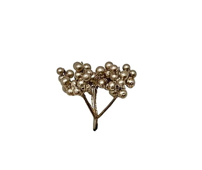 Champagne Fern