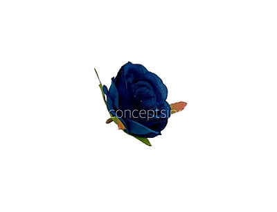 Navy Blue Camellia Flower Navy Blue Camellia Flower