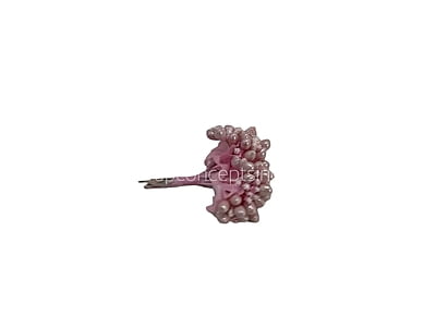 Rose Pink Pollens