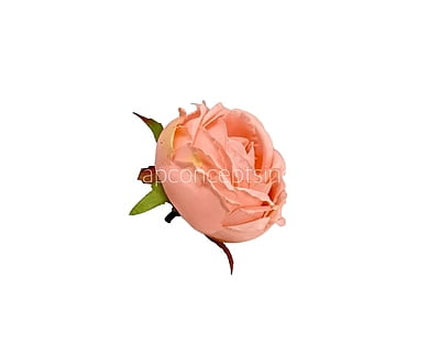 Left over Big Peony -Blush Left over Big Peony -Blush