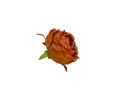 Big Peony - Fuchsia Big Peony - Fuchsia